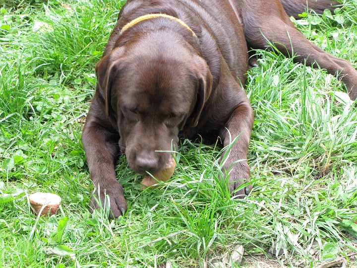 Wanderung 2014_123.jpg